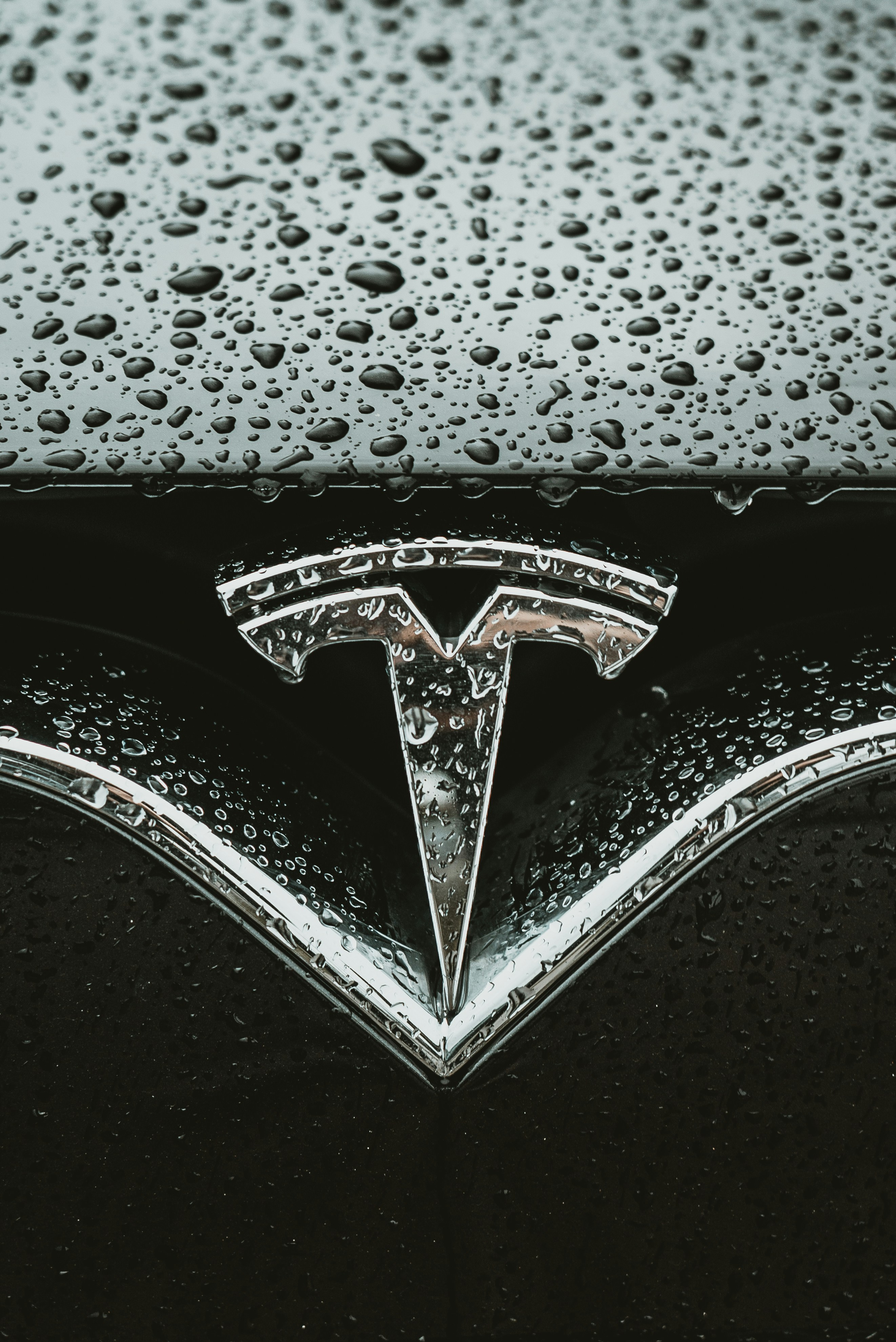 Photograph of Tesla logo.